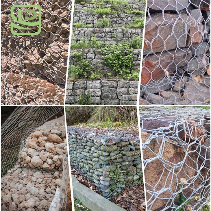 Gabion Wire Mesh Box best Gabion Wire Mesh Box best